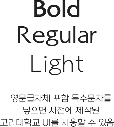 Bold Regular Light 영문글자체 포함 특수문자를 넣으면 사전에 제작된 고려대학교 UI를 사용할 수 있음